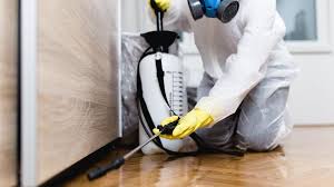 Best Organic or Eco-Friendly Pest Control  in Celina, TX